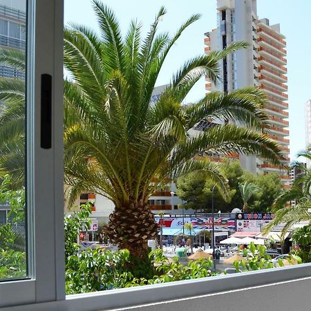 Margarita Apartment Benidorm Eksteriør billede